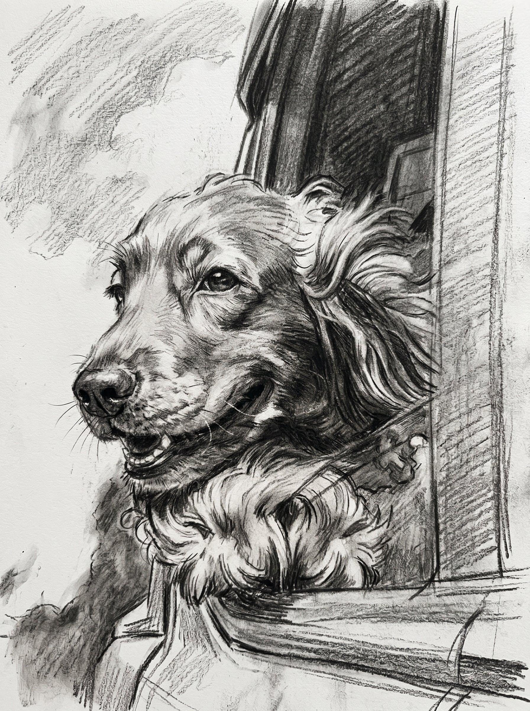 charcoal sketch dog print
