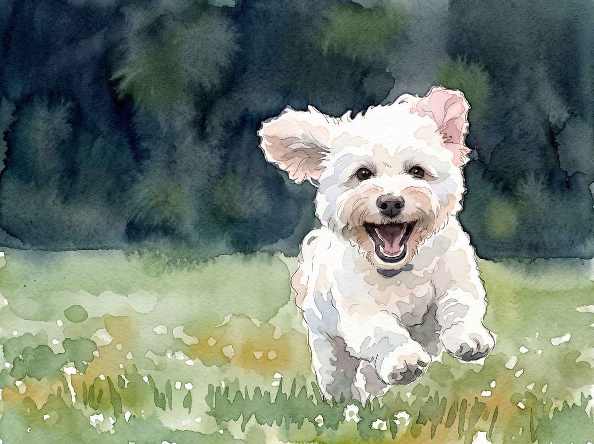 Watercolor pet portrait print of a small white dog running through a green field